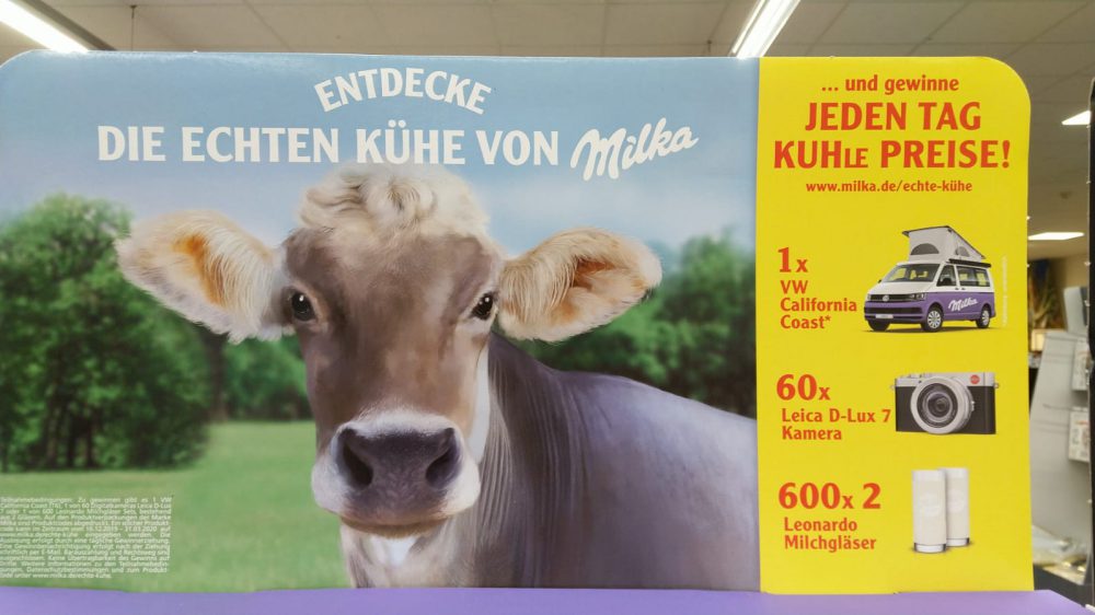 Milka Echte Kühe