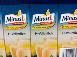 MinusL 20 Jahre: Wohnmobil-Reise gewinnen