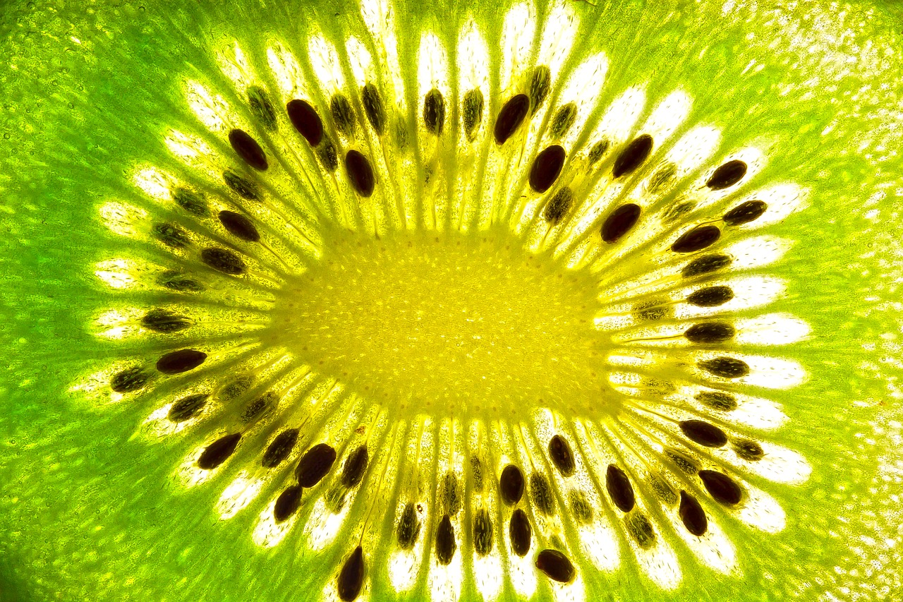 Zespri Kiwi Gewinnspiel bei Edeka, Marktkauf und Netto: Kassenbon hochladen. Foto: stux/pixabay