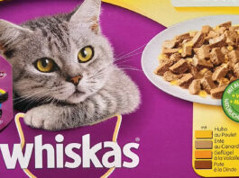 Whiskas: London-Flug, Apple Watch SE gewinnen