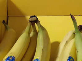 Chiquita-Bananen: Gewinnspiel