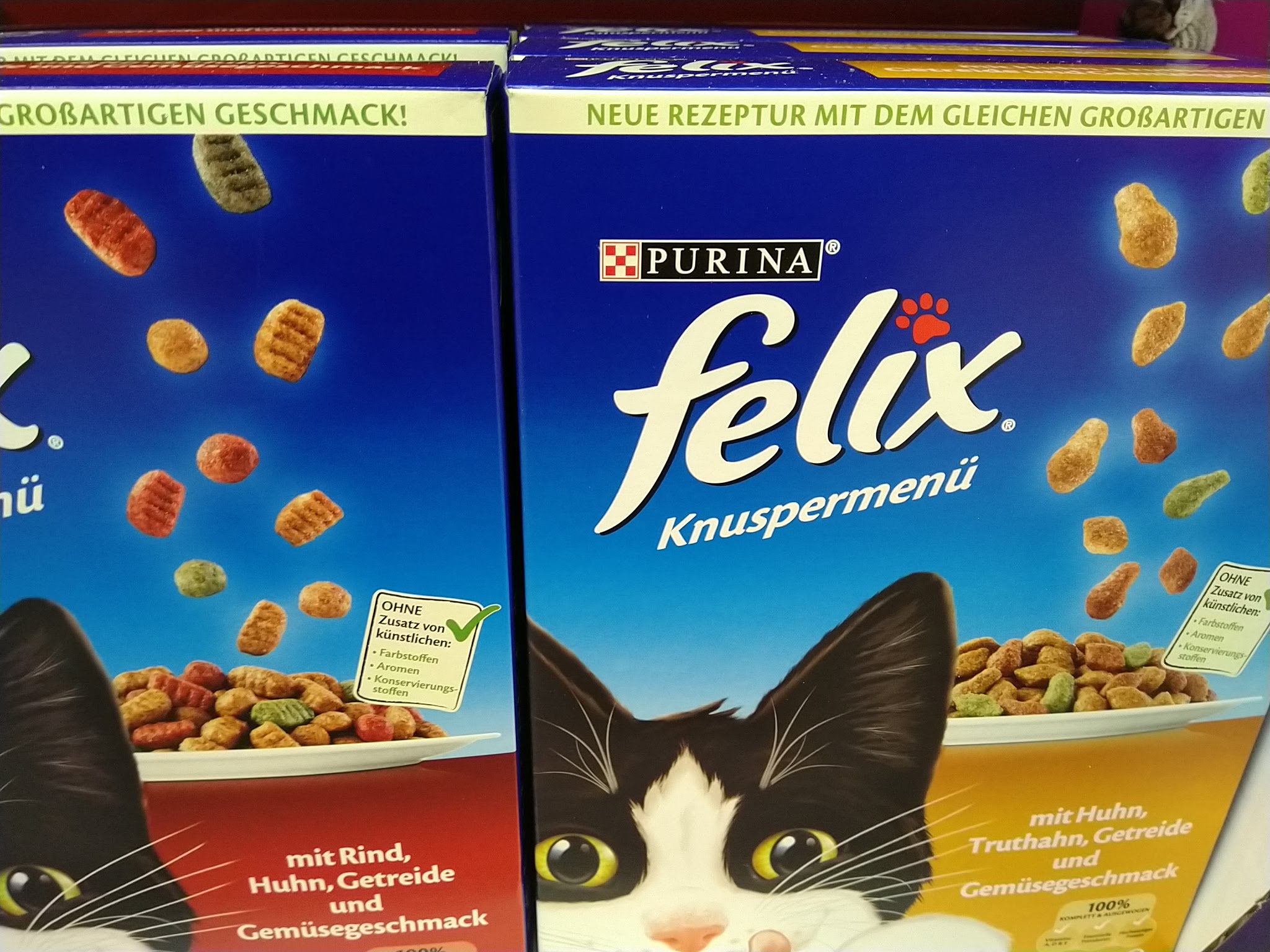 Purina Felix: E-Roller gewinnen