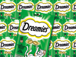 Dreamies: iPhone, Haustierkamera gewinnen