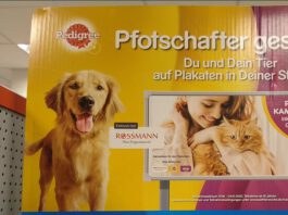 Pedigree: tierärztliche Gesundheitschecks gewinnen