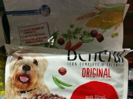 Purina: Tickets für Robbie Williams gewinnen