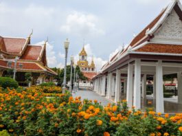 Dino Days Jurassic World: Bangkok-Reise gewinnen