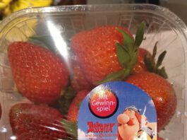 San Lucar: Aladdin-Preise gewinnen