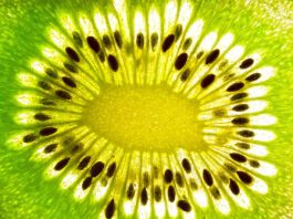 Zespri: Aktivurlaub gewinnen